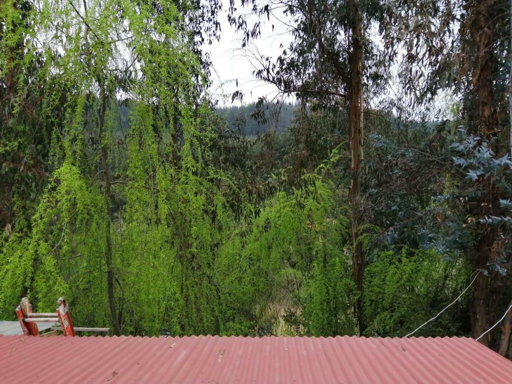 El Fogon De Rio Claro Hotel Exterior photo